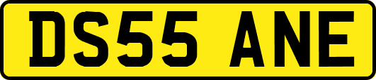 DS55ANE
