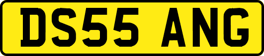 DS55ANG