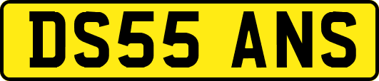 DS55ANS