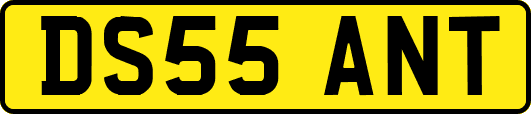 DS55ANT