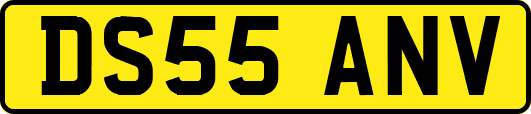 DS55ANV