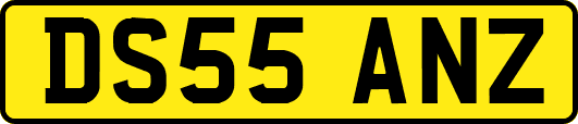 DS55ANZ