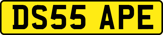 DS55APE