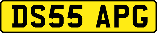 DS55APG