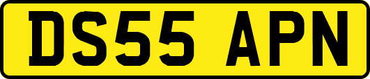 DS55APN