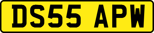 DS55APW