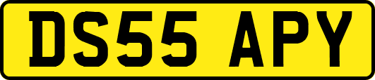 DS55APY
