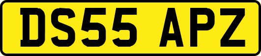 DS55APZ