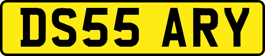 DS55ARY