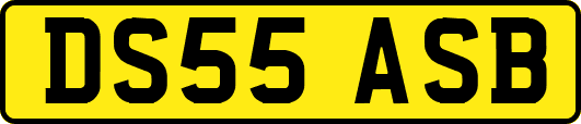 DS55ASB