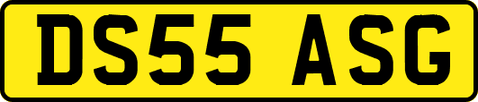 DS55ASG