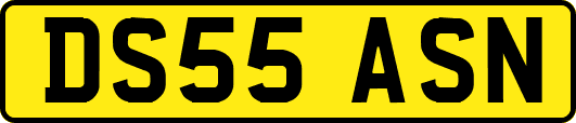 DS55ASN