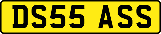 DS55ASS