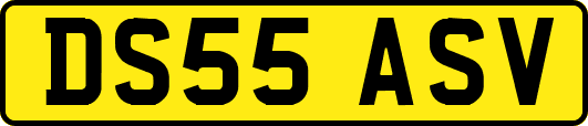 DS55ASV