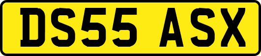DS55ASX