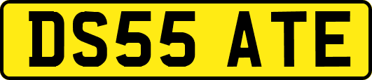 DS55ATE