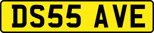 DS55AVE