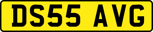 DS55AVG