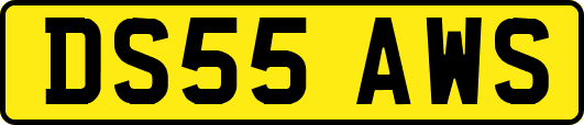 DS55AWS