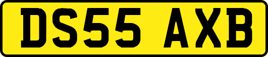 DS55AXB