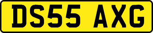 DS55AXG