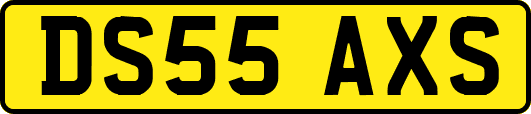DS55AXS