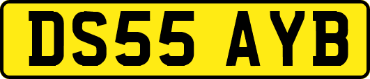 DS55AYB