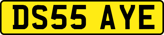 DS55AYE