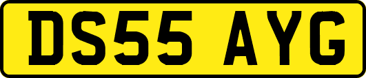 DS55AYG