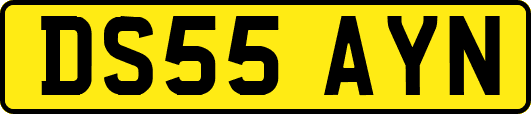 DS55AYN