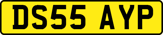 DS55AYP