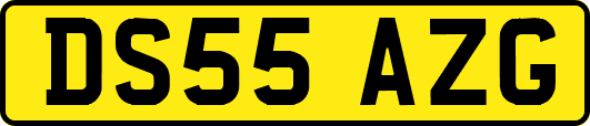 DS55AZG