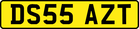 DS55AZT