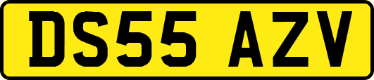 DS55AZV