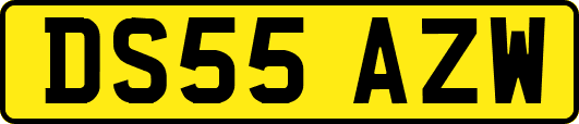 DS55AZW
