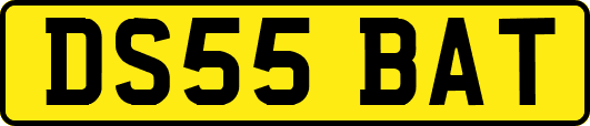 DS55BAT