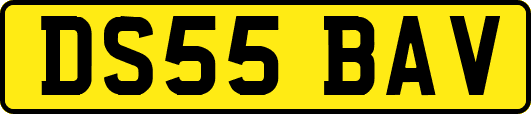 DS55BAV