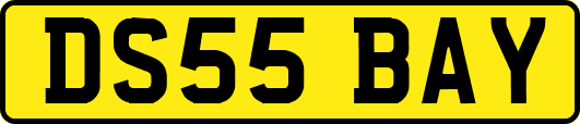 DS55BAY