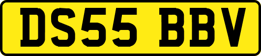 DS55BBV