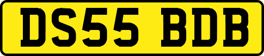 DS55BDB