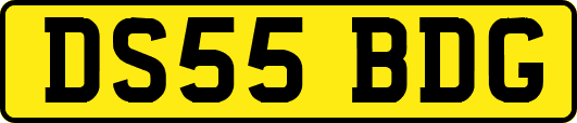 DS55BDG
