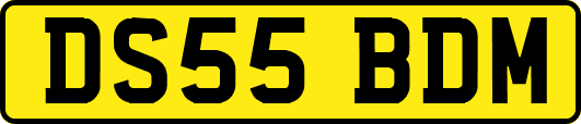 DS55BDM
