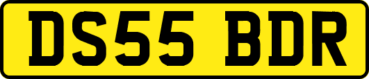 DS55BDR
