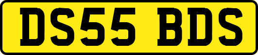 DS55BDS