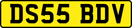 DS55BDV
