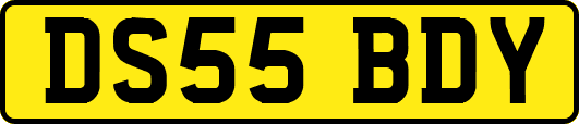 DS55BDY