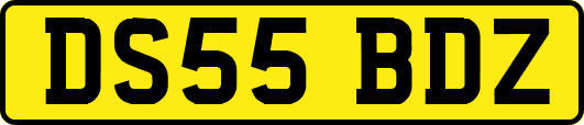 DS55BDZ