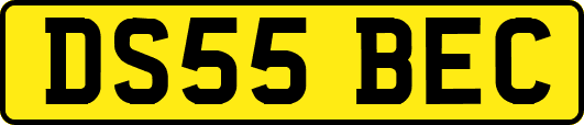 DS55BEC