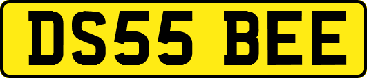 DS55BEE