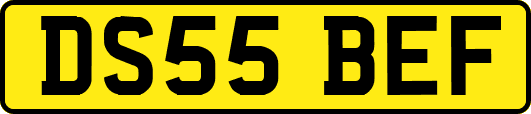 DS55BEF
